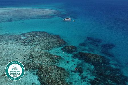 Mission Beach: Small Group | Outer Reef Snorkel & Dunk Island