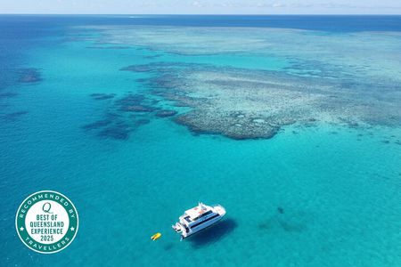 Cairns: Small Group | Outer Reef Snorkel & Dunk Island