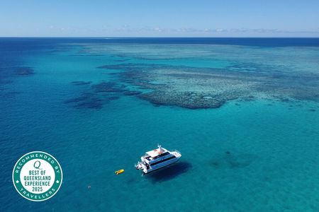 Cairns: Semi-Private | Outer Reef Snorkel & Dunk Island