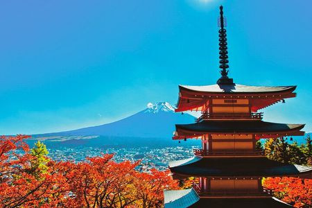 Mt.Fuji,Arakurayama, Fujimichi ,Oishi Park, Kawaguchiko w/ Lunch