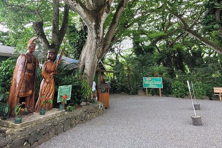 Circle Island 8hr Private Small Group Tour
