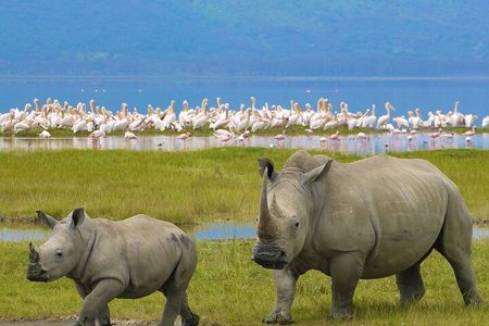4 Days Private Camping Safari
