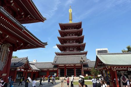 Tokyo Private Sightseeing Tour by Car with Local Guide