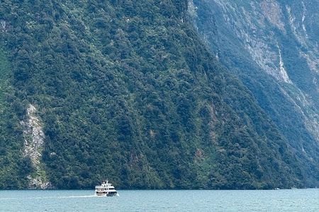 Milford Sound Private Day Trip from Queenstown via Te Anau
