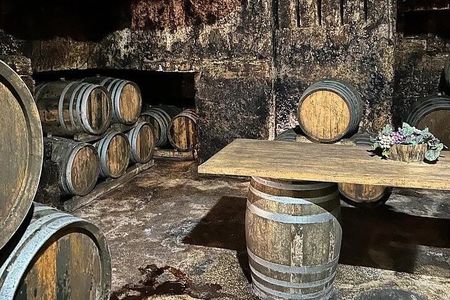 Historic winery visit with food and wine tasting in Marsala