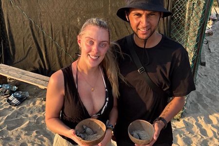 Baby sea turtles camp