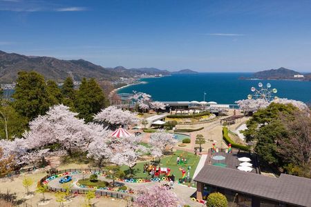 Exclusive Amanohashidate View Land & Ine Bay Cruise from Osaka