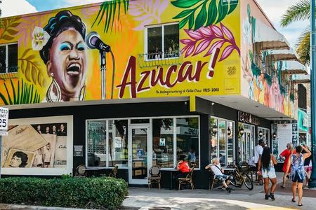 Miami South Beach & Wynwood Tour and Little Havana & Cruise 