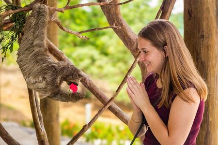 Chocolate Factory,Wildlife Encounter,Sightseeing,Beach in Roatan 