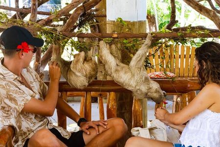 Half-Day Zip Line Combo: Beaches and Wildlife Encounter in roatan