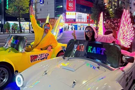Tokyo Go Kart Street Tour Asakusa to Akihabara (IDP MUST)