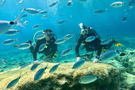 Scuba Diving with a private guide, without certification