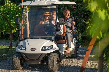 Tuscan vineyard golf cart tour with wine tasting and lunch