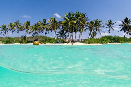 Isla Contoy & Isla Mujeres Tour from Cancun & Playa Del Carmen