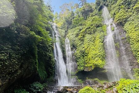  Sekumpul & Banyumala Waterfalls Trekking 
