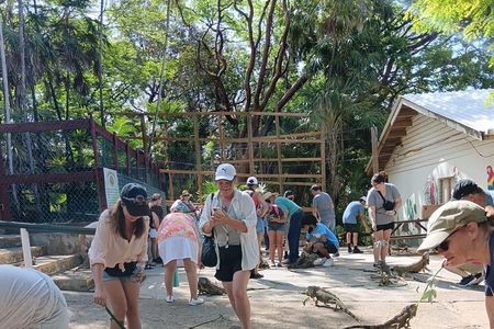 Island Tour Food Tasting iguana farm and Beach Break