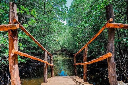 Jozani Forest & Spice Farm Guided Tour & Transfer -Zanzibar