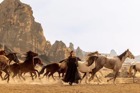 Photoshoot with Running Horses