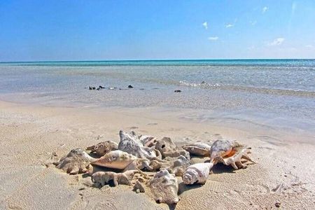 El Qulan Island & Sharm El Luli Half-Day Experience