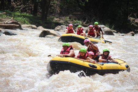 Half Day Elephant care and Whitewater Rafting Adventure