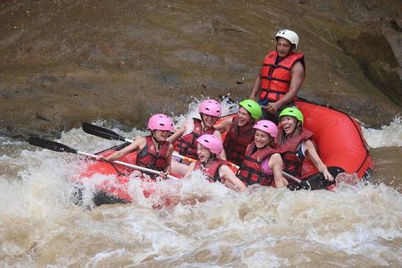Half Day Elephant care and Whitewater Rafting Adventure