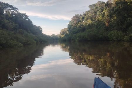 3-Day Amazon Rainforest Tour from Iquitos