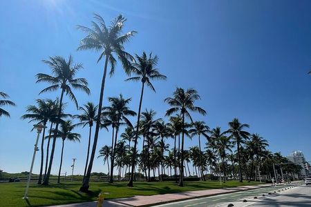 Traveler's Guide to Experience Miami 