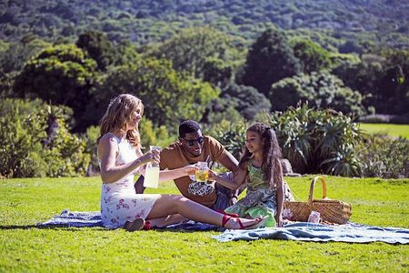 Kirstenbosch Botanical Gardens Guided Tour with Picnic Lunch 
