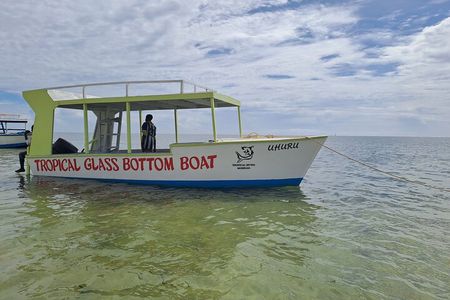 Half Day Creek Safari and Snorkeling Adventure in Mombasa