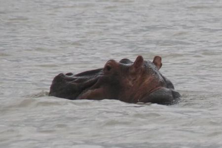 Overnight Georgetown Safari with Local Experiences