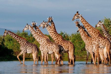 5 Day Budget Camping safari