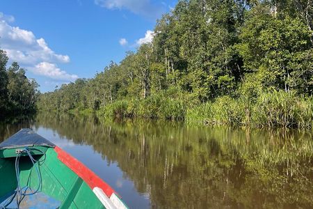 Ethical Orangutan River Cruise around Tanjung Puting 1D0N