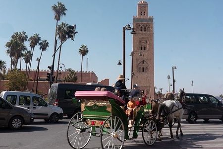 Marrakech 1 hour Horse Carriage Rides