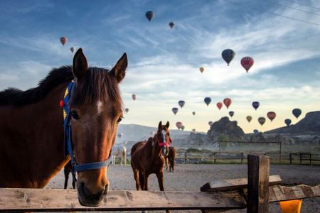 Cappadocia Horseback Riding Adventure at Sunrise, Sunset, Tour