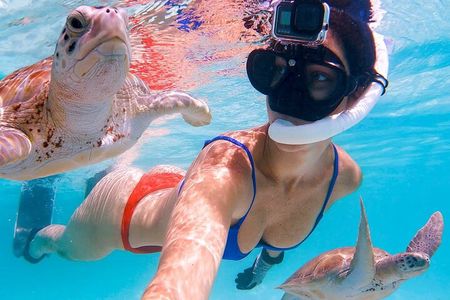 Snorkeling Adventure at Daymaniyat Islands Sharing Half Day