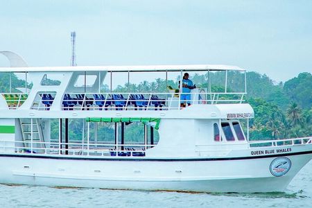 Whale Watching Mirissa in Sri Lanka with Pickup and Breakfast