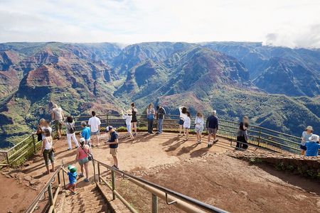 Kauai Full Day Tour with Cruise ships or Kauai Airport Pickup 