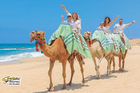 Camel Ride Tour in Los Cabos