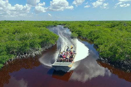 Extreme Everglades: Crocodiles and Adventure from Miami