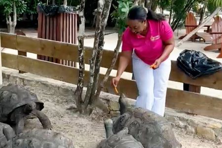 Laviscount Island, Giant Tortoises and Long Bay Beach