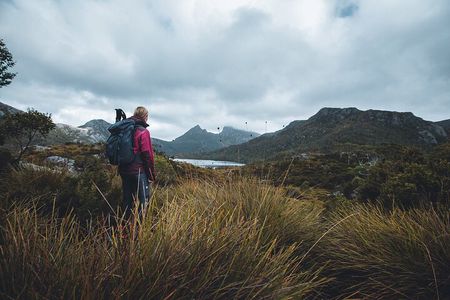 Cradle Mountain Dove Lake Day Tour from Launceston with Lunch