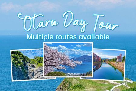 Hokkaido Otaru Private Full Day Tour (Depart from Sapporo)