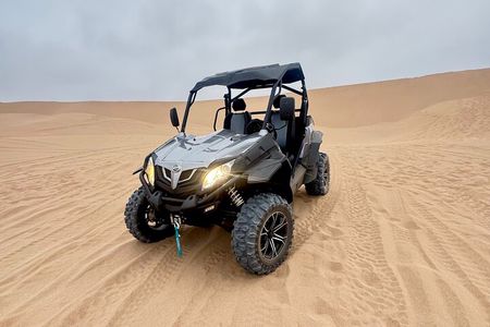 Agadir Buggy Safari Desert & Beach Tour with Sandboarding