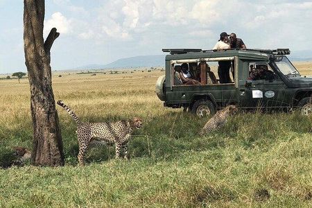 3 Days Maasai Mara Private Safari