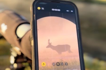 Bozeman Winter Wildlife Safari, Lamar Valley, Burrito and Lunch