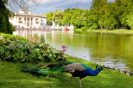 Best of Warsaw Full-Day Private Tour with Transport & Ticket