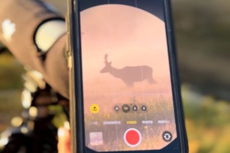 2 Day Yellowstone Safari Upper and Lower Loop Bozeman