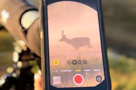 Hot Springs and Geysers Private Tour