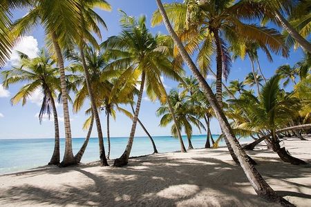 Saona Island Tour