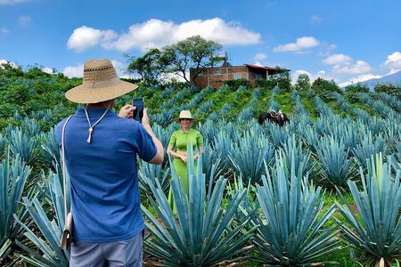Tequila: Private Half-Day Tour